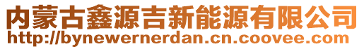 內(nèi)蒙古鑫源吉新能源有限公司