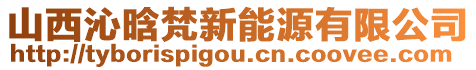 山西沁晗梵新能源有限公司