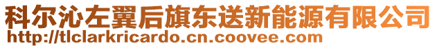 科爾沁左翼后旗東送新能源有限公司