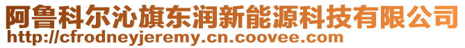 阿魯科爾沁旗東潤新能源科技有限公司