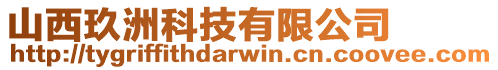 山西玖洲科技有限公司