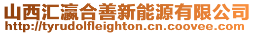 山西匯瀛合善新能源有限公司