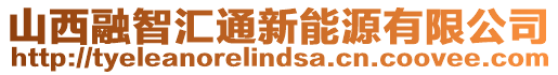 山西融智匯通新能源有限公司