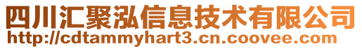 四川匯聚泓信息技術(shù)有限公司