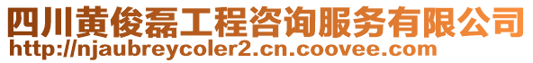 四川黃俊磊工程咨詢服務有限公司