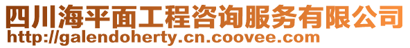 四川海平面工程咨詢服務有限公司