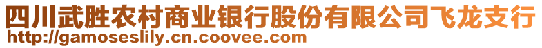 四川武勝農(nóng)村商業(yè)銀行股份有限公司飛龍支行