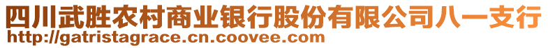 四川武勝農(nóng)村商業(yè)銀行股份有限公司八一支行