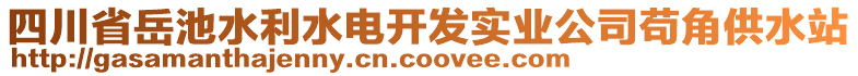 四川省岳池水利水電開發(fā)實業(yè)公司茍角供水站