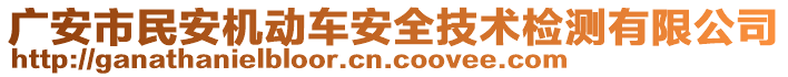 廣安市民安機動車安全技術(shù)檢測有限公司