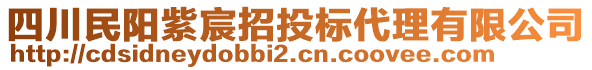 四川民陽(yáng)紫宸招投標(biāo)代理有限公司