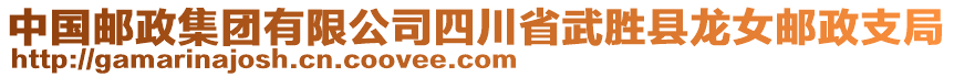 中國郵政集團有限公司四川省武勝縣龍女郵政支局