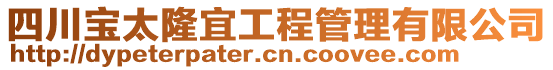 四川寶太隆宜工程管理有限公司