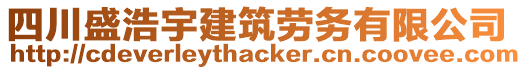 四川盛浩宇建筑勞務有限公司