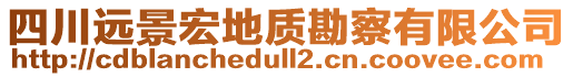 四川遠(yuǎn)景宏地質(zhì)勘察有限公司