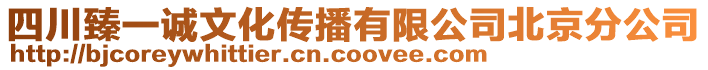 四川臻一誠文化傳播有限公司北京分公司