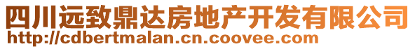 四川遠(yuǎn)致鼎達(dá)房地產(chǎn)開發(fā)有限公司