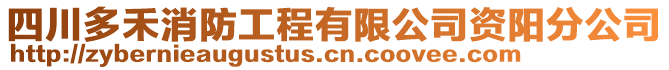 四川多禾消防工程有限公司資陽分公司