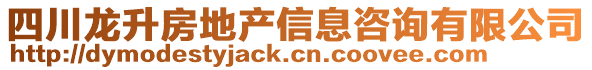 四川龍升房地產信息咨詢有限公司