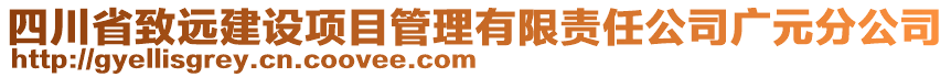 四川省致遠建設(shè)項目管理有限責任公司廣元分公司