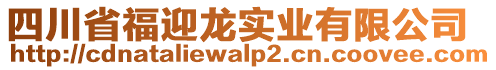 四川省福迎龍實業(yè)有限公司