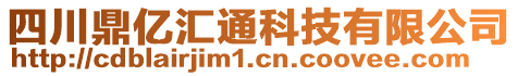 四川鼎億匯通科技有限公司