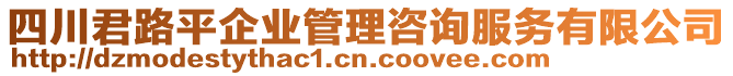 四川君路平企業(yè)管理咨詢服務(wù)有限公司