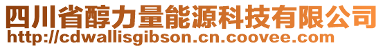 四川省醇力量能源科技有限公司