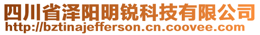 四川省澤陽明銳科技有限公司