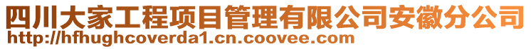 四川大家工程項目管理有限公司安徽分公司