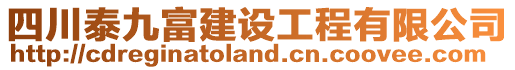 四川泰九富建設(shè)工程有限公司