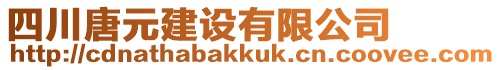 四川唐元建設(shè)有限公司