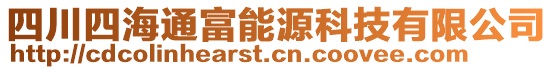 四川四海通富能源科技有限公司