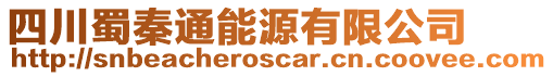 四川蜀秦通能源有限公司