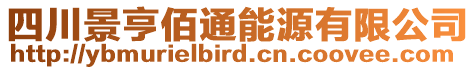 四川景亨佰通能源有限公司