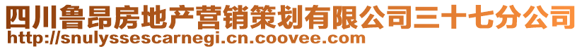 四川魯昂房地產營銷策劃有限公司三十七分公司