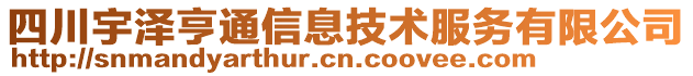四川宇澤亨通信息技術(shù)服務(wù)有限公司