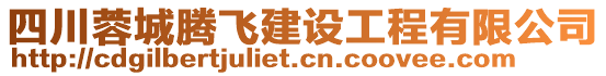 四川蓉城騰飛建設(shè)工程有限公司