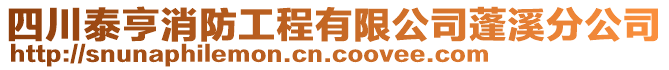 四川泰亨消防工程有限公司蓬溪分公司