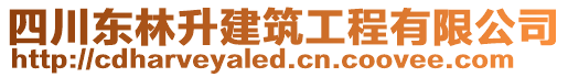 四川東林升建筑工程有限公司