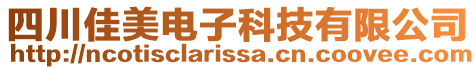 四川佳美電子科技有限公司