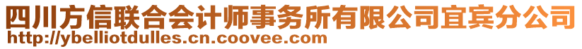 四川方信聯合會計師事務所有限公司宜賓分公司