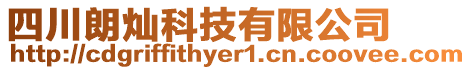 四川朗燦科技有限公司