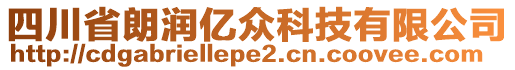 四川省朗潤(rùn)億眾科技有限公司