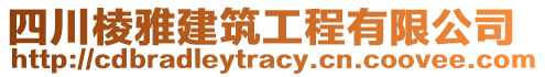 四川棱雅建筑工程有限公司