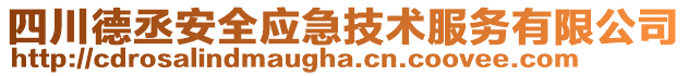 四川德丞安全應急技術服務有限公司