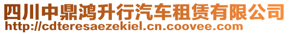 四川中鼎鴻升行汽車租賃有限公司