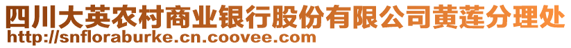 四川大英農(nóng)村商業(yè)銀行股份有限公司黃蓮分理處