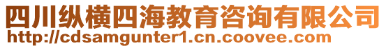 四川縱橫四海教育咨詢有限公司