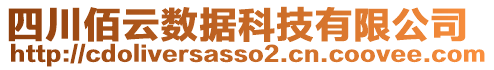 四川佰云數(shù)據(jù)科技有限公司